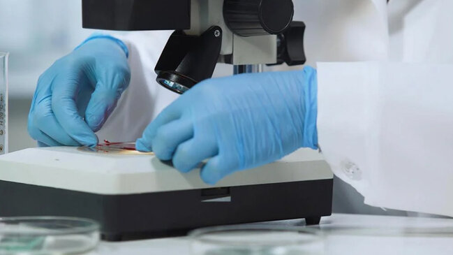 Həkimlər həyəcan təbili çalır: Ölümcül göbələk dünyaya yayılır