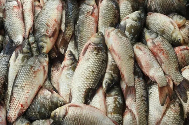 Balığı bıçaqsız, saniyələr içində təmizləmək ÜSULU