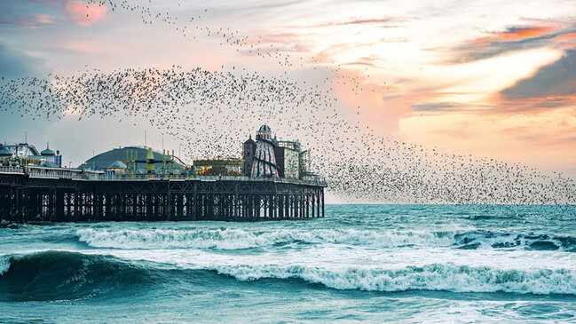 Vəhşi təbiəti izləmək üçün ən yaxşı yerlər açıqlandı