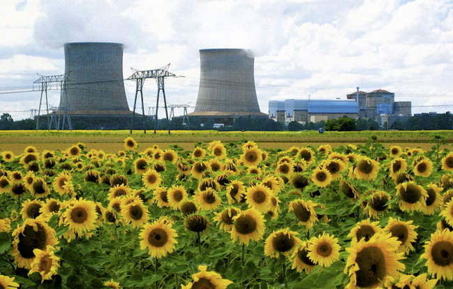 Hər bir liderin stoluna qoyulan - Günəbaxanların sirri...