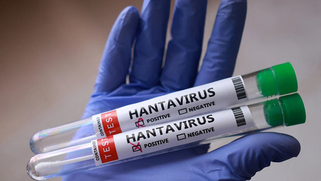 Hantavirus İspaniya və Britaniyaya məxsus arxipelaqda aşkarlanıb