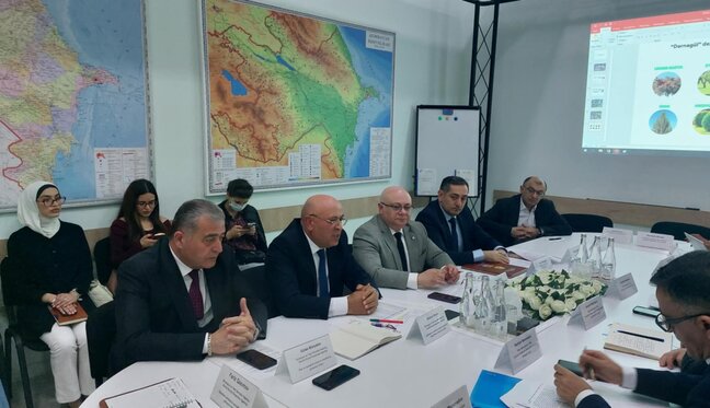 Dərnəgüldəki yeni metro deposunun ətrafında 1000-ə yaxın ağac əkiləcək