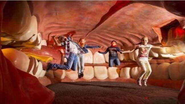 Burada insan ağzının içində gəzirlər - Qəribə məkan