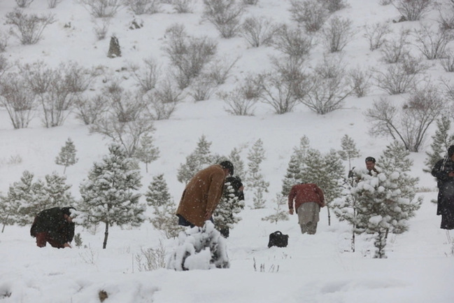 ABŞ-də qar fırtınasına görə 230 mindən çox ev işıqsız qalıb