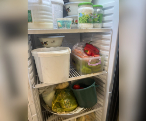 Gəncə və Göygöldəki bəzi restoranlarda nöqsanlar aşkarlanıb