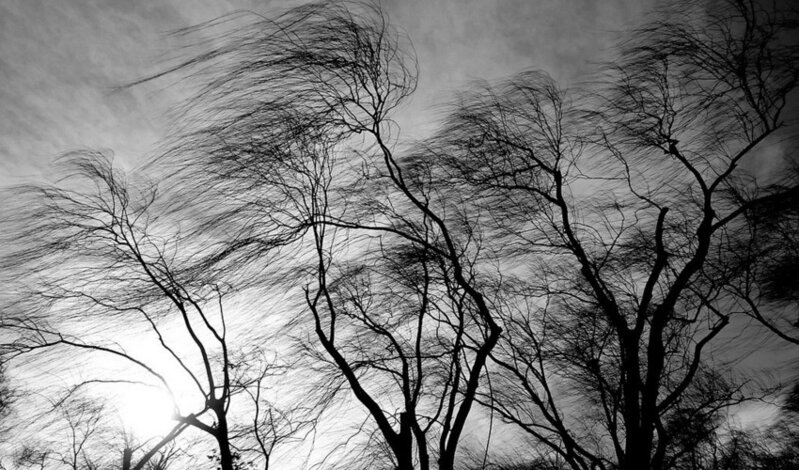 DİQQƏT! Küləkli hava şəraiti bu tarixədək davam edəcək