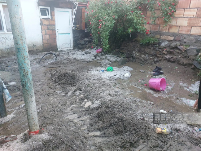 Daşkəsəndə güclü sel: 70-dən çox heyvan tələf oldu (FOTO)
