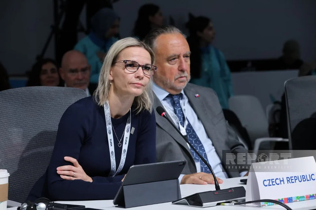 Çexiyalı nazir: "Şəhər problemlərinin həllində beynəlxalq əməkdaşlıq vacibdir"