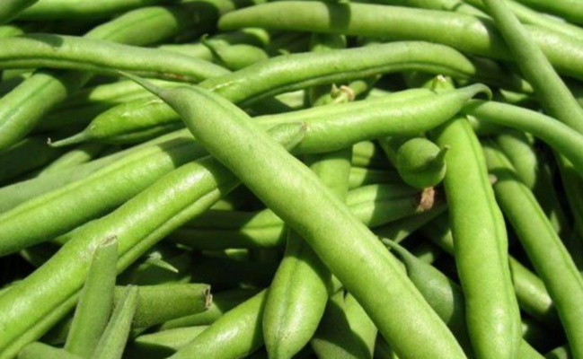 Paytaxt bazarlarında lobya tapılmır - SƏBƏB