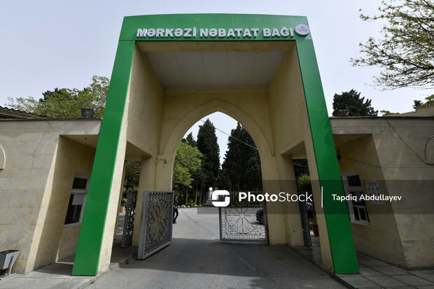 Nəbatət Bağında ağacların sayı azaldılacaq? - RƏSMİ AÇIQLAMA