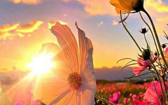 Sabahın hava proqnozu AÇIQLANDI