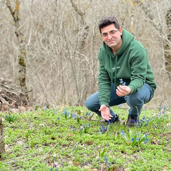 Ağsuda bitən Sibir Zümrüdçiçəyi - FOTO