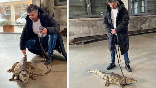 116 000 manata aldığı "ev heyvanı" görənləri ŞOK EDİR - FOTO