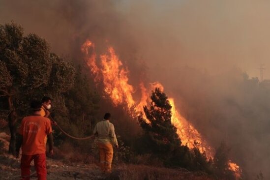 Türkiyədə meşə yanğınları bitmək bilmir - VİDEO