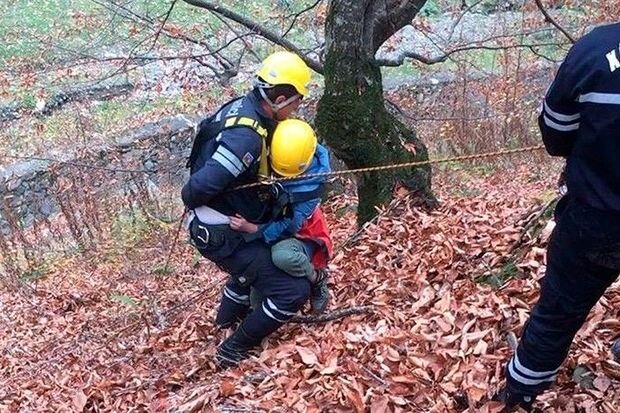 Qəbələdə dağlıq ərazidə köməksiz vəziyyətdə qalan xarici ölkə vətəndaşı xilas edilib - VİDEO