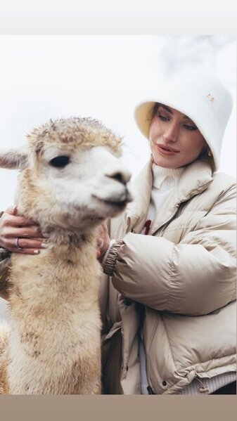 Prezidentin gəlininin alpaka fermasından maraqlı - Fotoları
