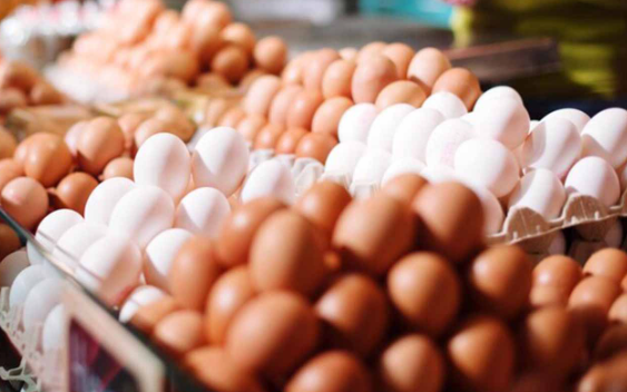 Sağlam ürək üçün yumurtanı belə bişirmək lazımdır