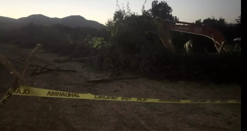 Aşan ağacın altında qalan şəxs həyatını itirdi - VİDEO