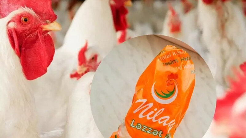 Broyler şirkəti borca düşüb, əmlakını girov qoyacaq