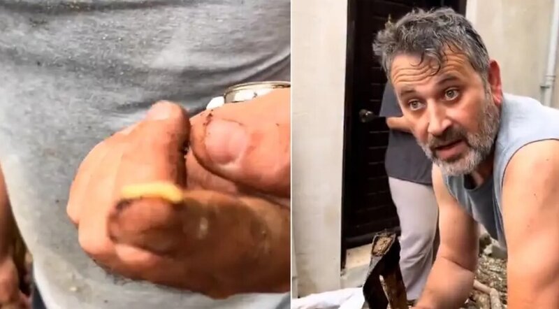 Odunun içindən çıxan ağac qurdunu yedi - VİDEO