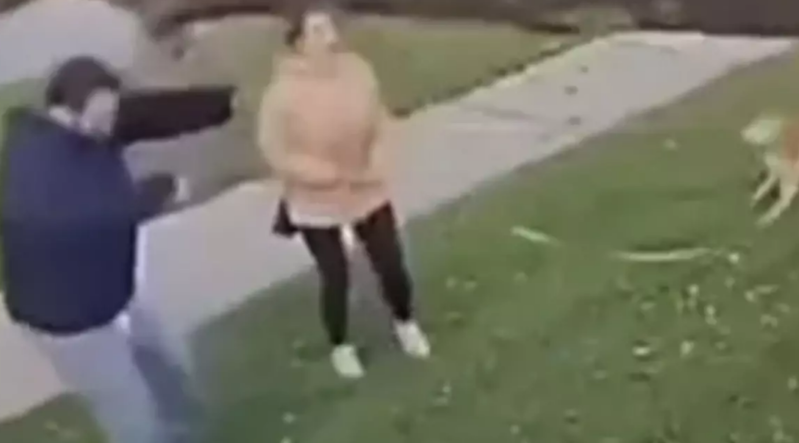 Böyük ağacın altında qalmaqdan son anda xilas oldular - VİDEO