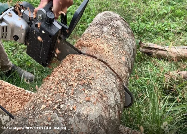Ağac kəsirdi, laqonda ilə öz boğazını kəsib öldü