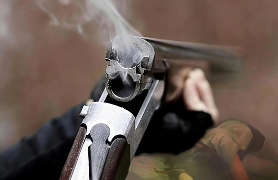 Məhkəmə həmyerlisini ailəsinin gözləri qarşısında güllələyən şəxslə bağlı qərar verdi