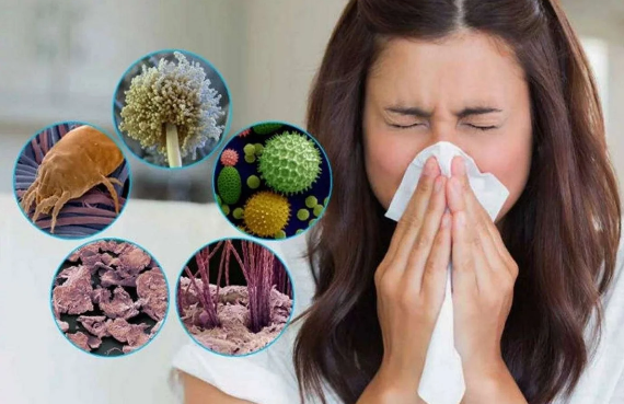 Allergiyanız varmı? - Simptomlar, testlər və qorunma yolları