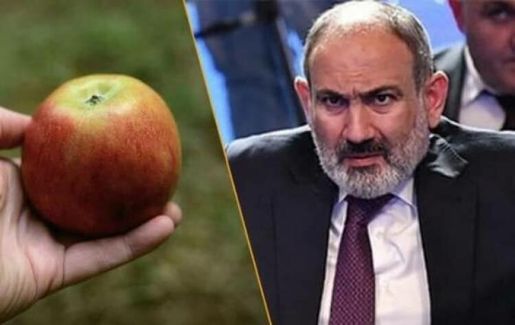 9-cu mərtəbədən Paşinyana alma atan təqaüdçünün aqibəti necə olacaq?