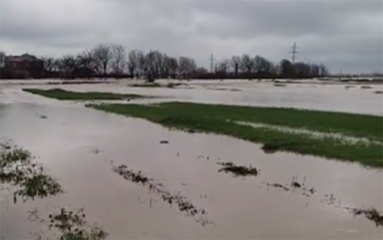 Masallıda kəndi su basdı, 9 ailə təxliyə olundu - VİDEO