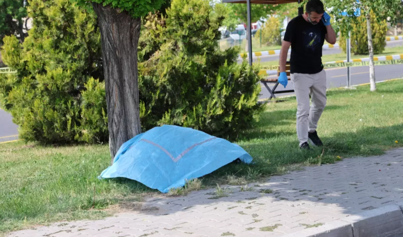 Anasının məzarını ziyarət edib, intihar etdi