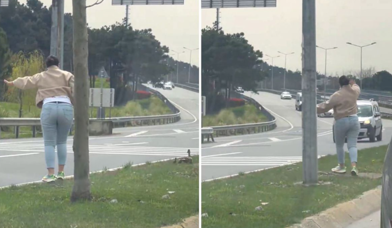 Ördəklərin yolu keçməsi üçün maşınları saxlayan qadın müzakirə edilir - VİDEO