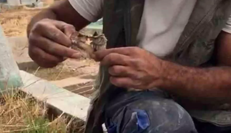 Məzarlıqda qan donduran hadisə! Görən kimi yandırdı