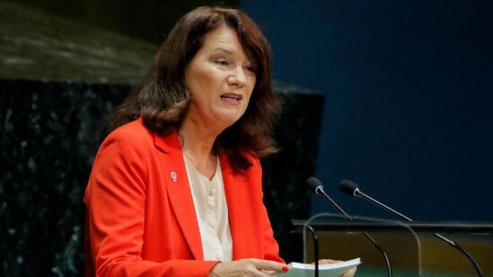 "PKK məsələsində Türkiyə ilə eyni fikirdəyik" - İsveç XİN