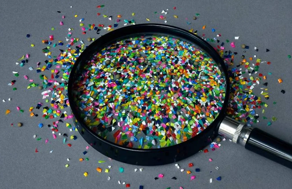 Antarktidada mikroplastik təhlükəsi: Həşəratların qida mənbəyinə çevrilib