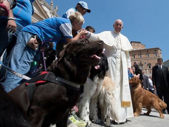 Papa Fransisk ev heyvanlarını sevənləri eqoist adlandırdı - FOTO