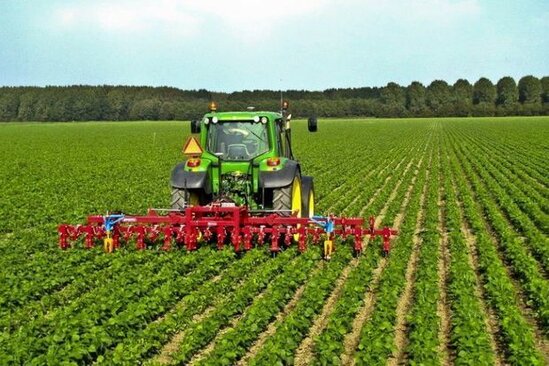 Əkin sahələrinin azalması hansı problemləri yaradacaq?