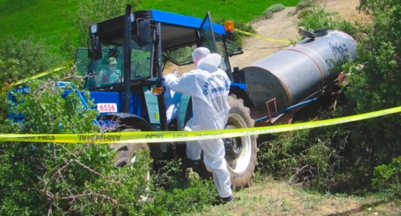 77 yaşlı kişi arı sancması nəticəsində həyatını itirdi