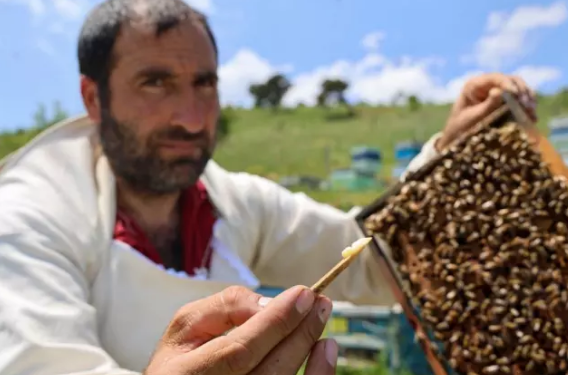 Dünyanın ən bahalı qidası! Kilosu təxminən 4 500 manatdır - FOTO