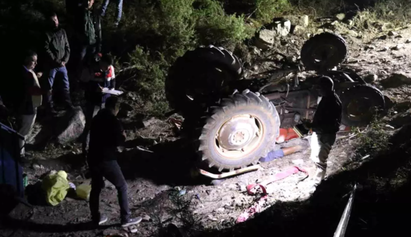 Meşəyə odun yığmağa gedən yaşlı cütlüyün meyitləri tapılıb