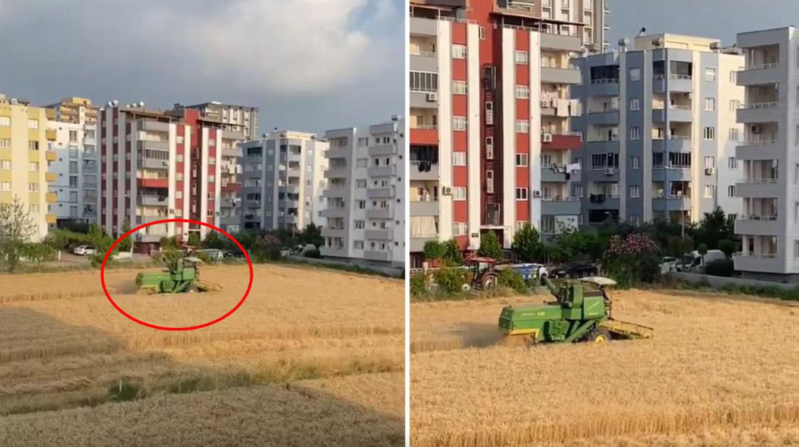 Atasından qalan torpaq sahəsini təklif edilən heç bir qiymətə satmır, səbəb görün nədir - VİDEO