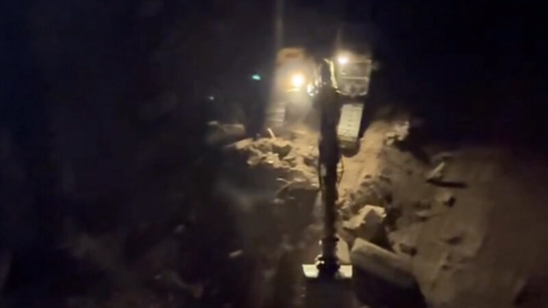 "Avant Group" ağacları kəsib - İşi Baş Prokurorluq araşdıracaq