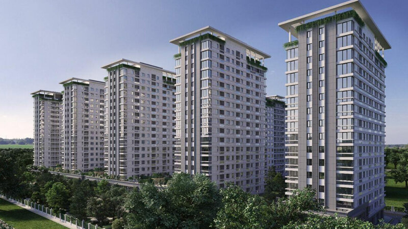 "Avant Group" ağacları kəsib, 100 min ziyan vurub - Cinayət işi başlandı