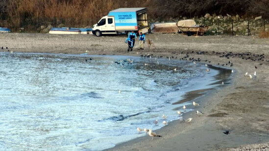 İstanbulda qorxulu görüntü: Dəniz metrlərlə çəkilib - FOTO