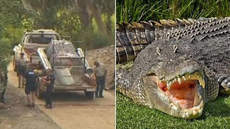 Balıq tutan kişini ailəsinin önündə TİMSAH YEDİ - FOTOLAR
