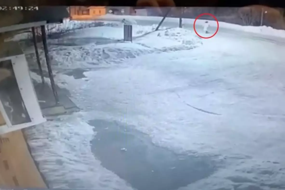 Ayı hücumuna məruz qalan qadının başı tapılıb