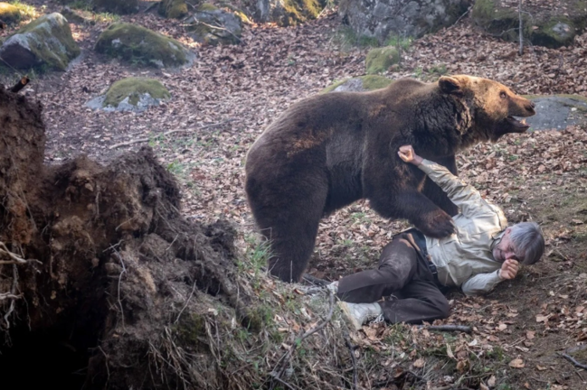 Vəhşi heyvan hücumundan bu cür qorunmaq olar - AÇIQLAMA