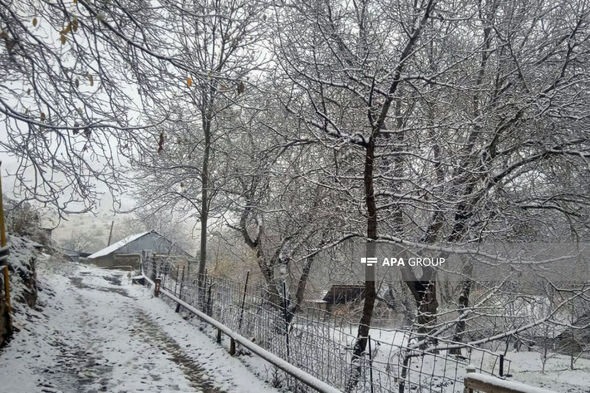 Naxçıvana qar yağıb - FOTO