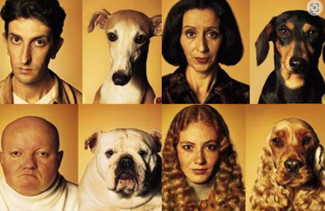 İtlər niyə öz sahiblərinə bənzəyirlər?