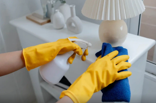 Ev təmizləyən ana və oğlu varlandı